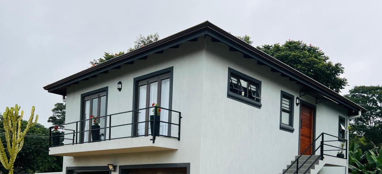 Robyns Nest Self Catering Flat No3 Apartment Kloof